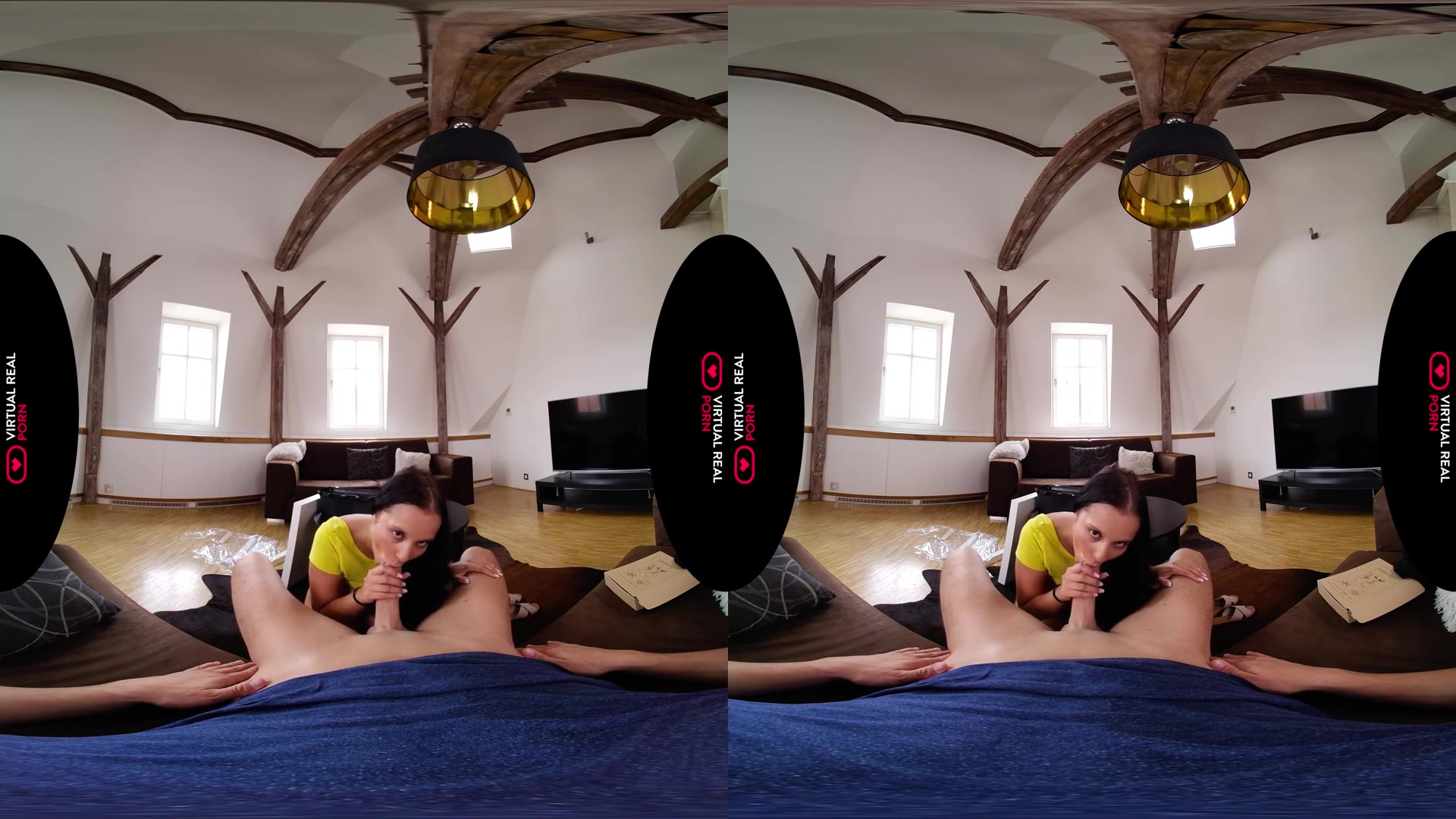 The Art of Seduction - VirtualRealPorn