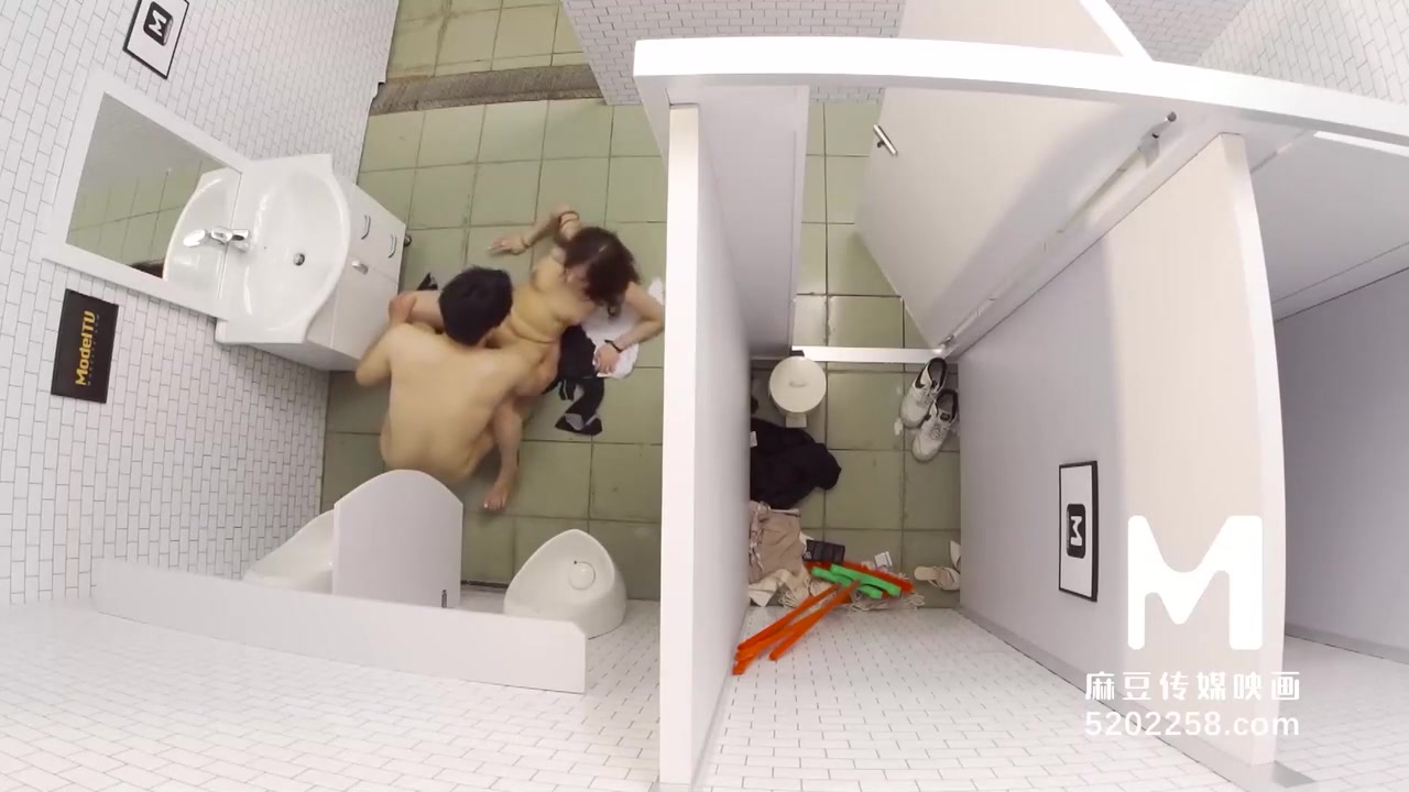 Sanitary Partitions Are Hard To Stop Passion Sex-mdwp-0022