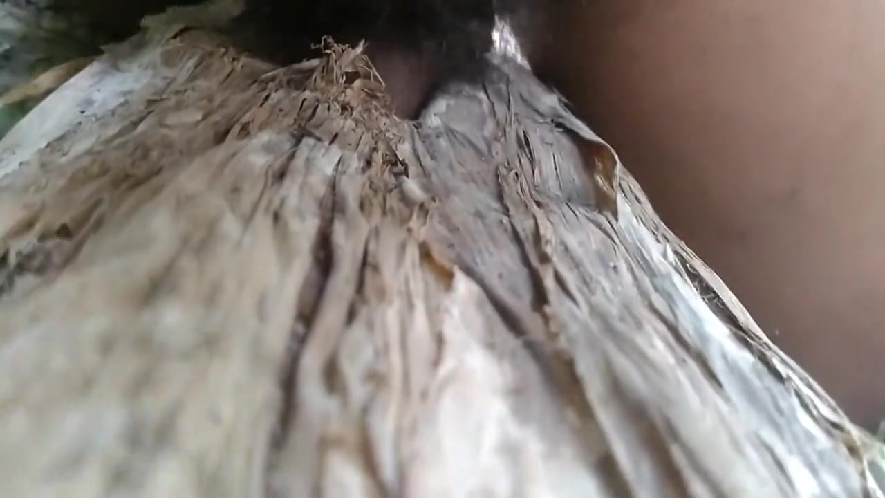 Nature Sex.. Sex With Banana Tree. Part....5
