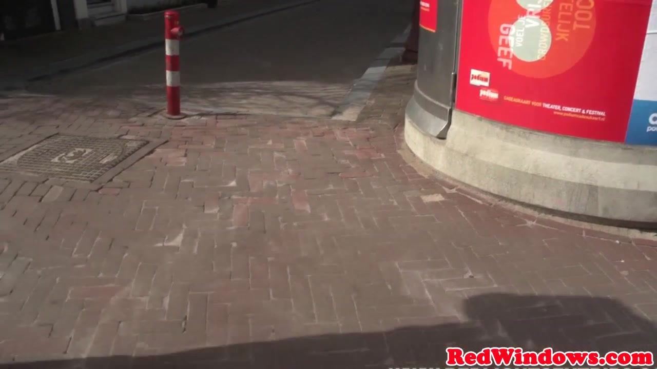 Dutch hooker cocksucking and doggystyling