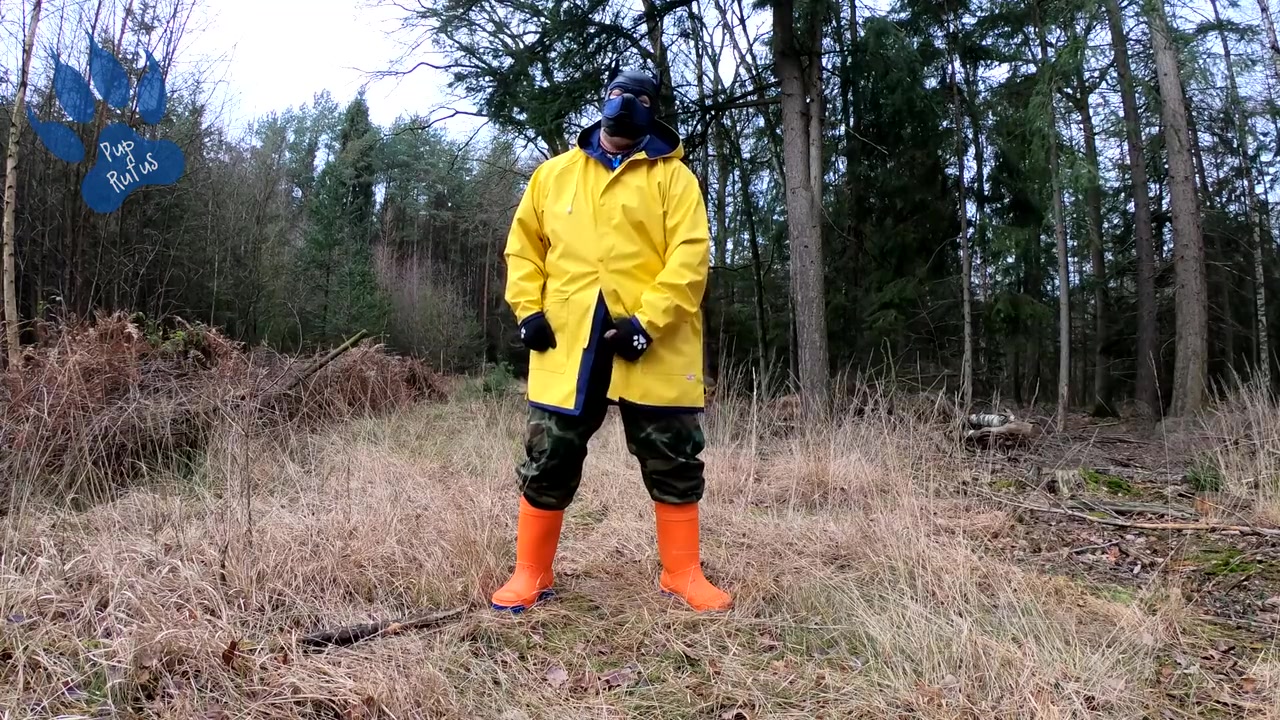 Raingear Pup Wanking Outdoors During Sunday Walkies nearly Got Caught
