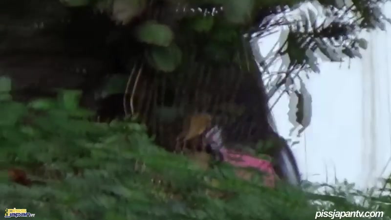 Nature's Calling And Girls Have To Piss - PissJapanTV