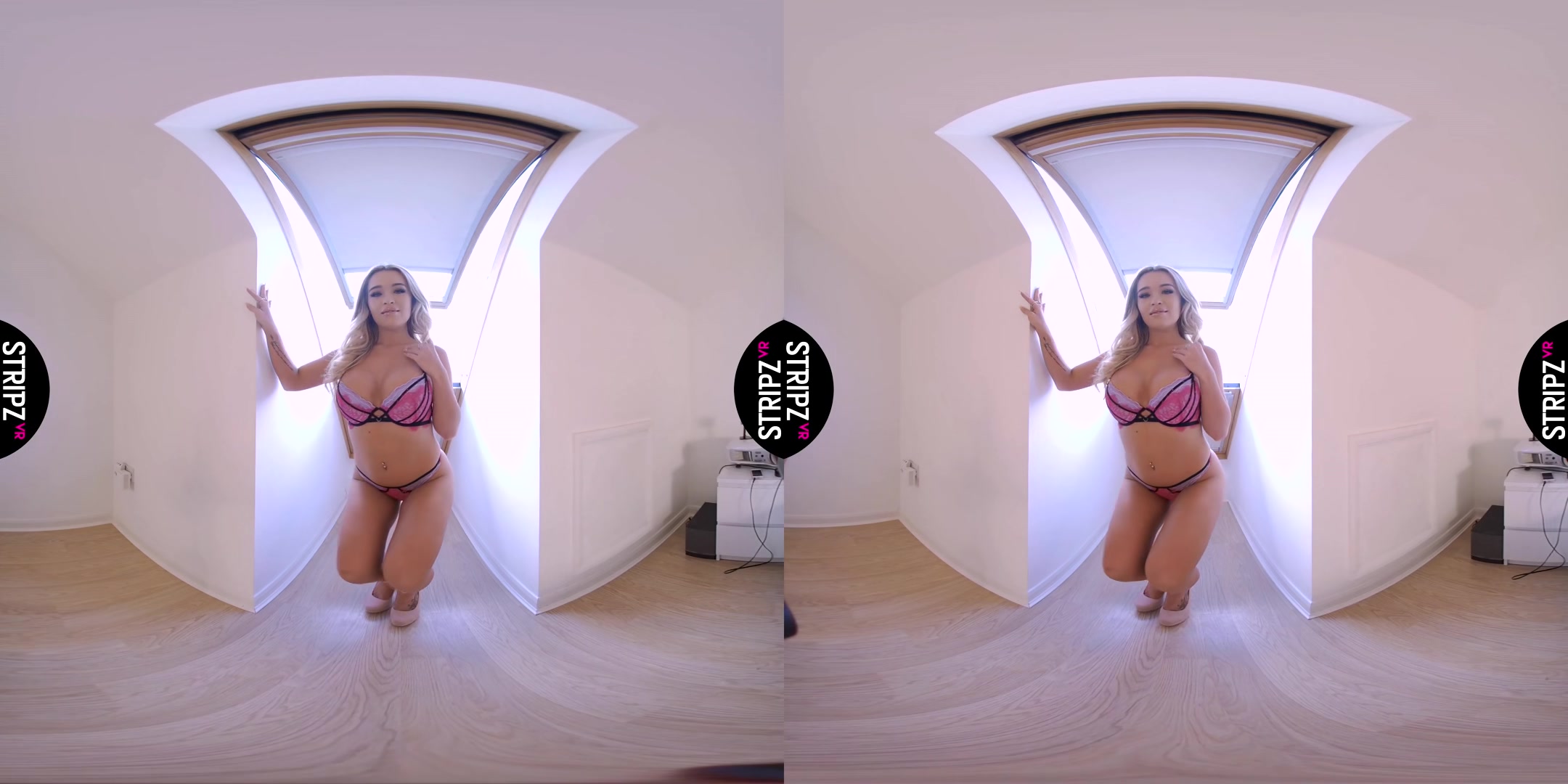 Room With a View - StripzVR
