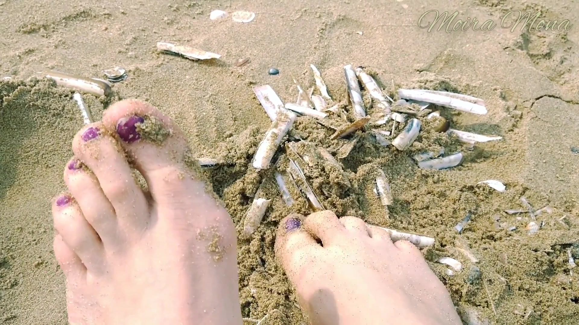 Sand And Shells Under My Feet