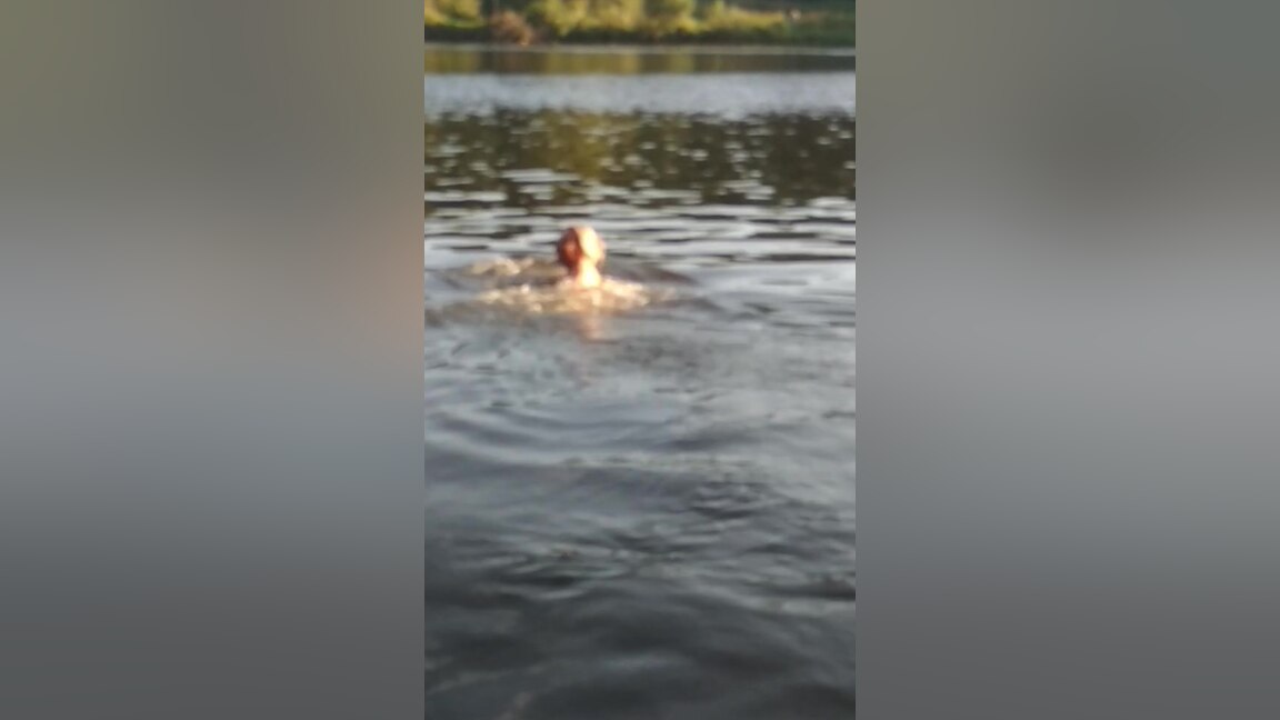 The Lady Of The Lake - Ladyfoxxx