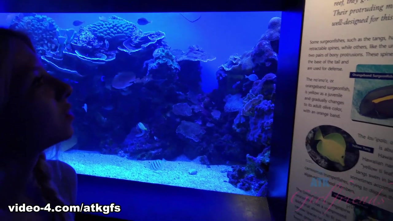 Kenzie Reeves in Kenzie Enjoys The Nude Beach, And The Aquarium - ATKGirlfriends