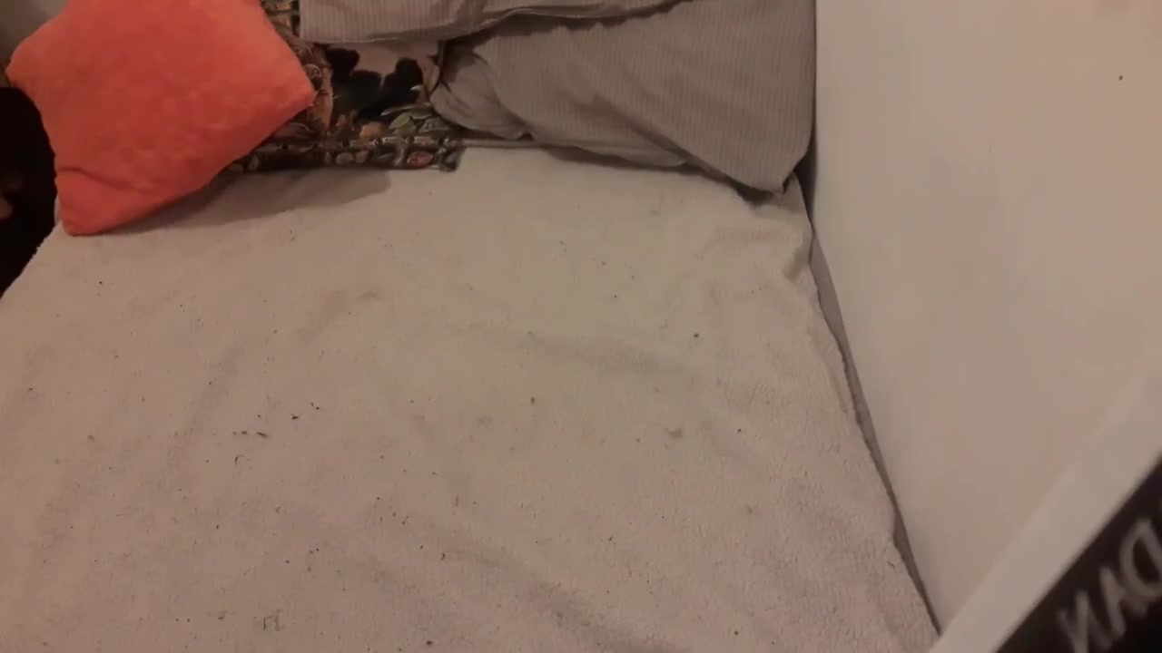 Videollamada Con Mi Sugar Step daddy A Escondidas De Mi Padre