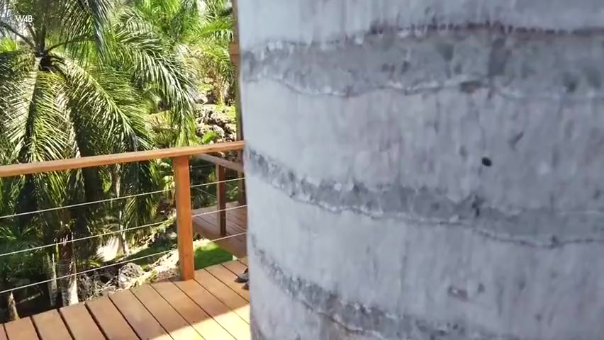 Maria Big Palm Tree
