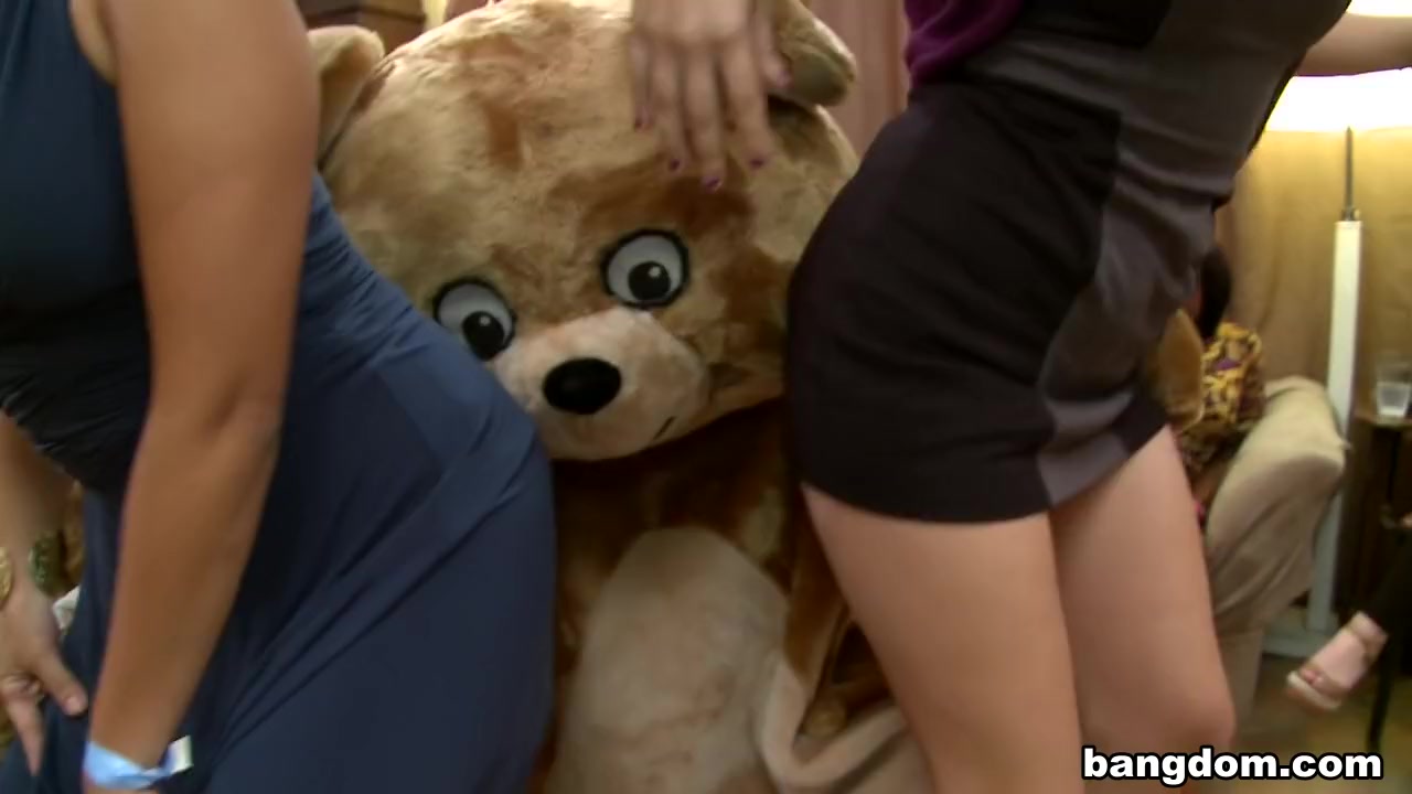 Remy's Dancing Bear Fiesta