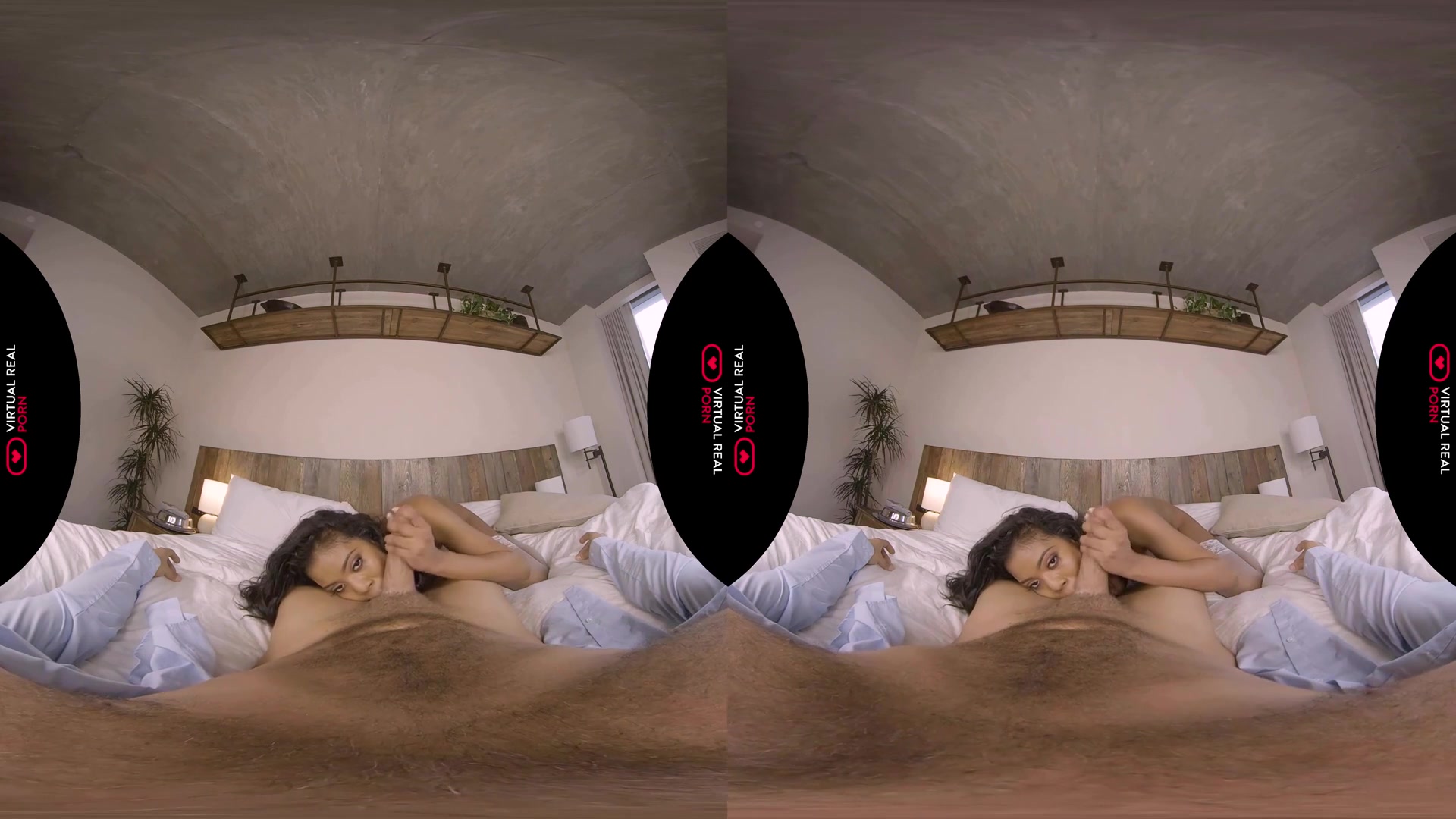Welcome to the VR Hotel I - VirtualRealPorn