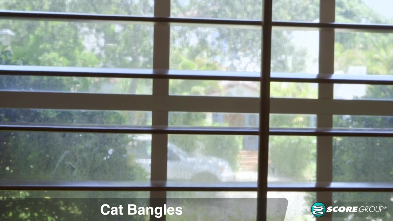 Cat Bangles: Busty realtor gets banged
