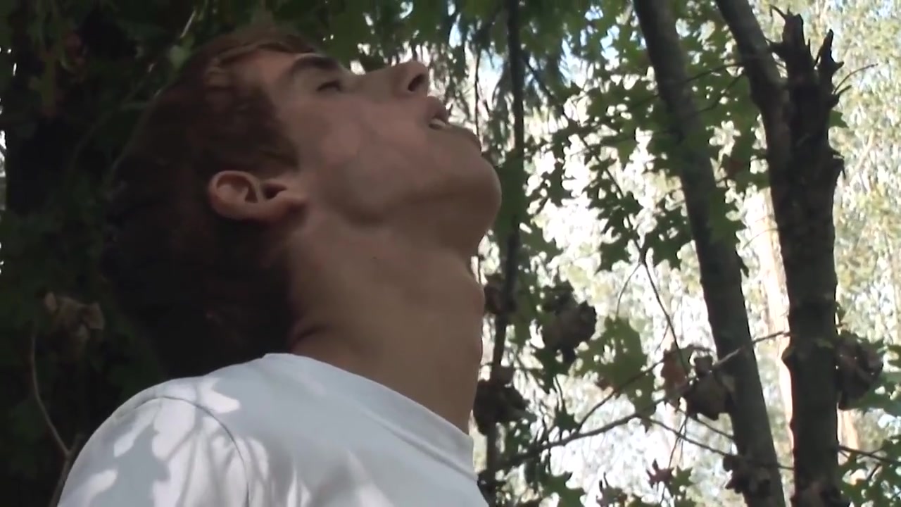 Bad Boyz Are The Forest