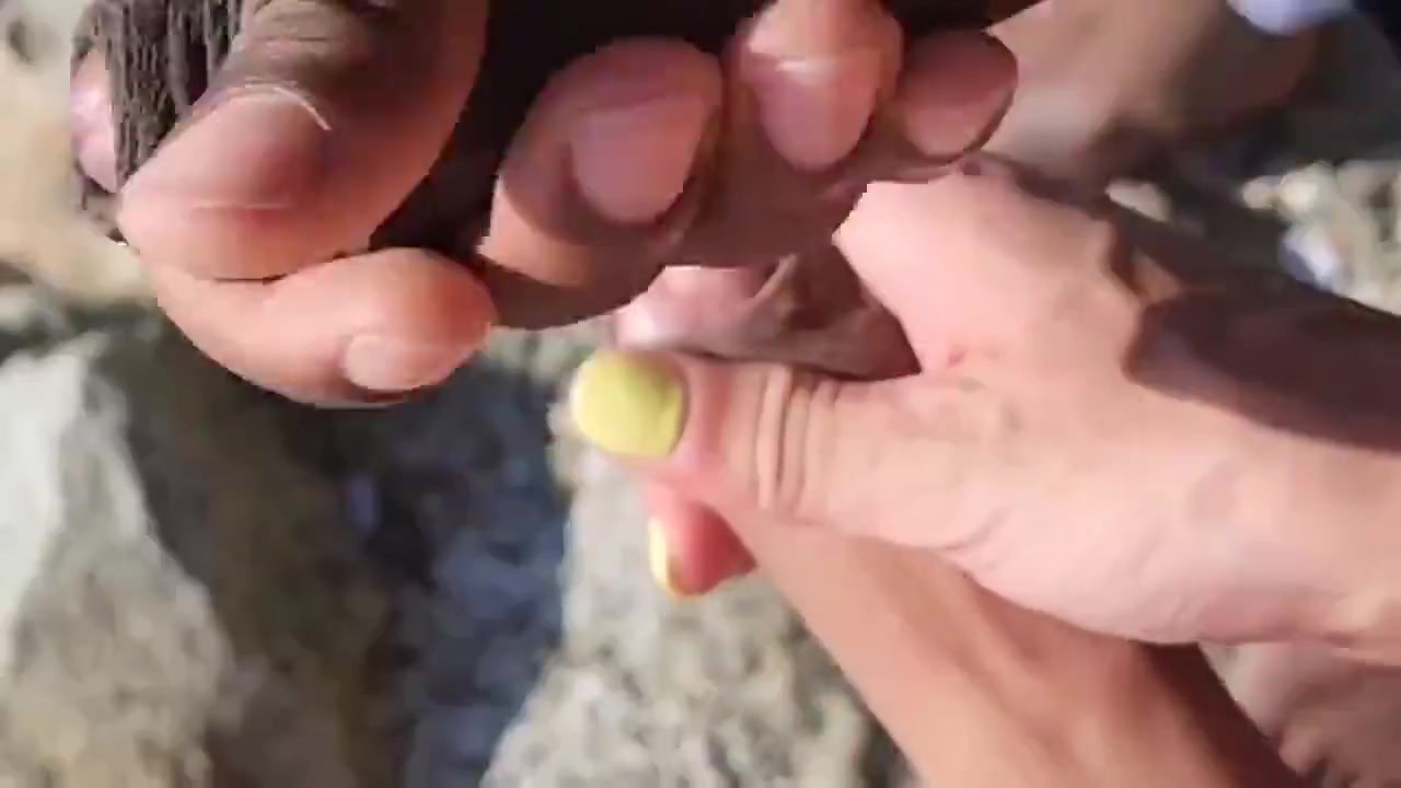 Outdoor Homemade Interracial Action