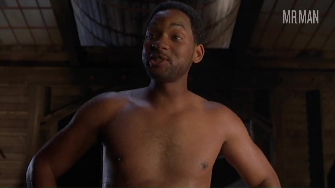 Body of Work: Will Smith - Mr.Man
