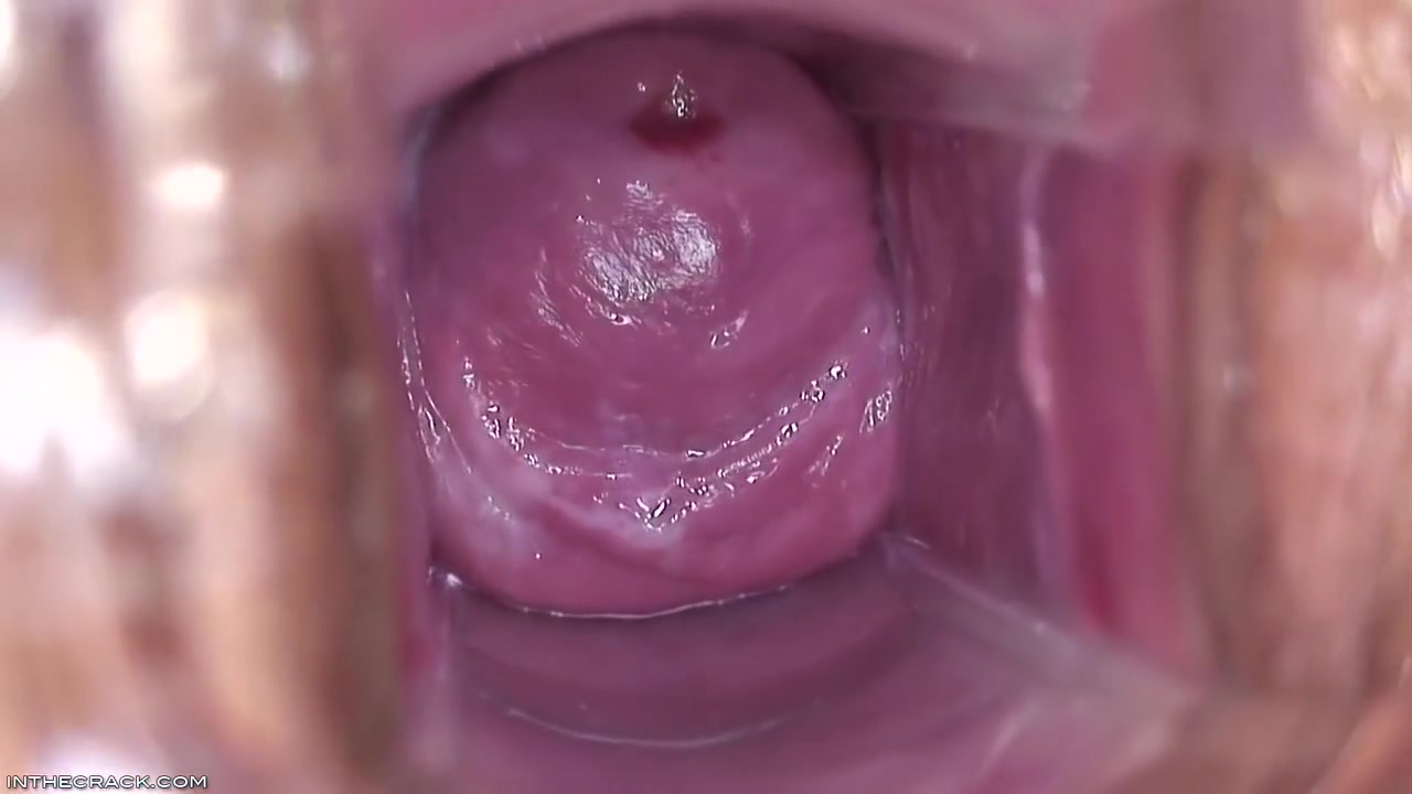 Inside Brandys Pussy