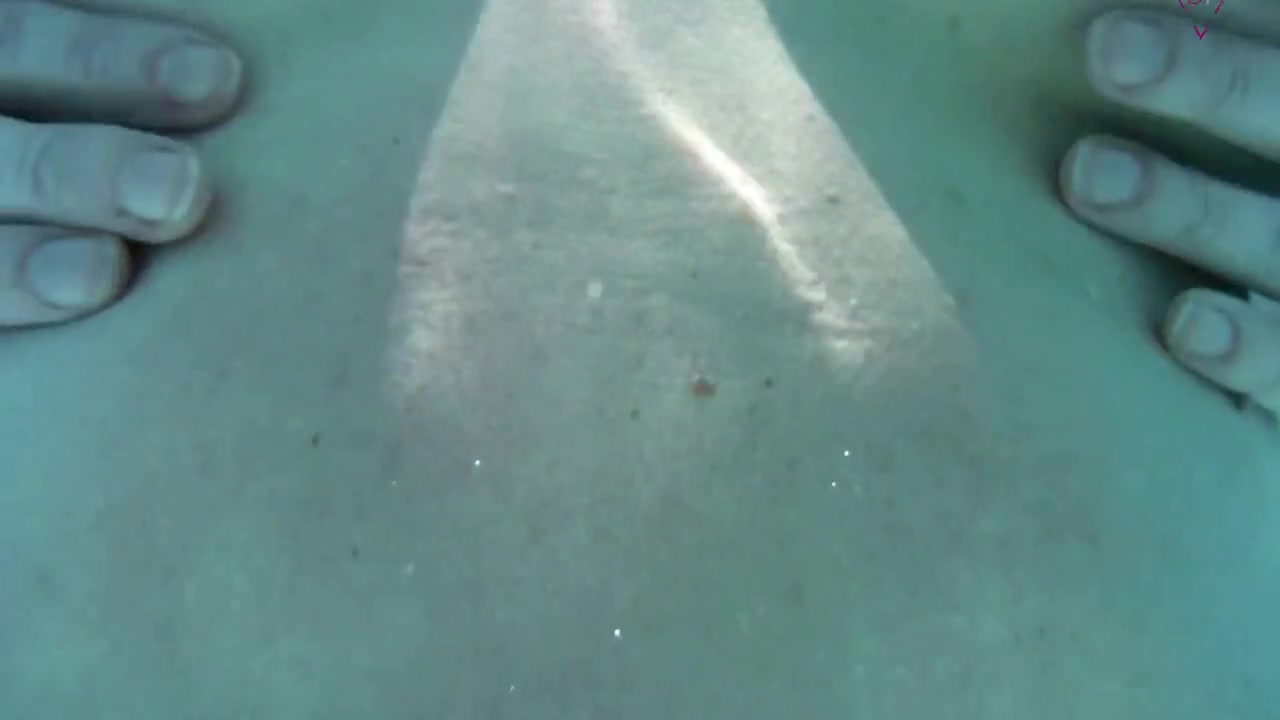 Horny Public Sex In The Pool At Friends Of Ours!