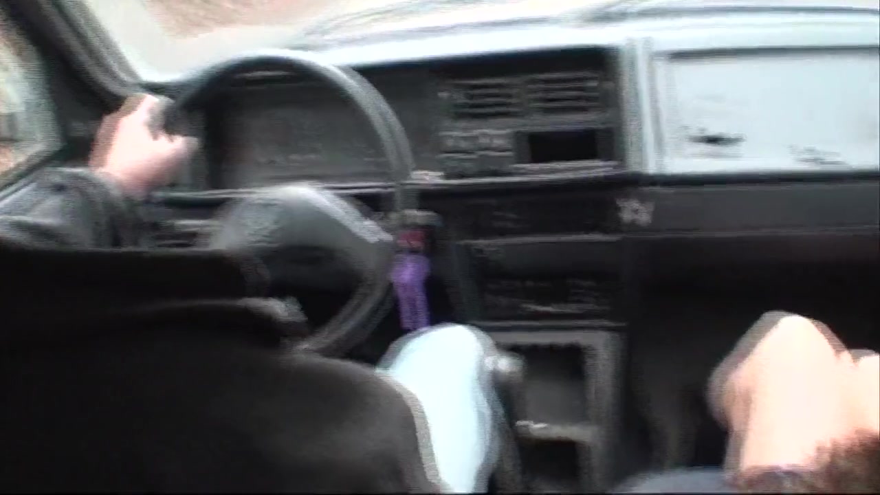 Sexy Dark Haired Girl Gets Picked Up And Fucked In The Woods