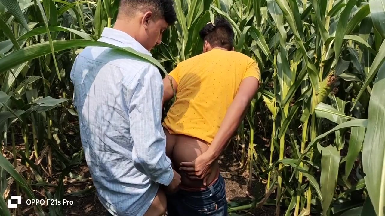 Indian Gay - Today Collage Boy & College Teacher I Saw A Corn Field Side Of The Forest So I Enjoyed Going To The Corn Field