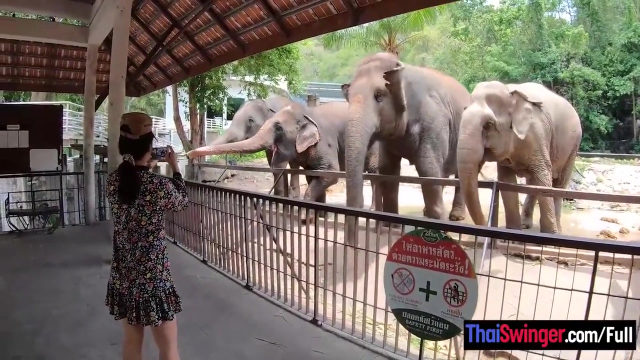 Amateur Thai Girlfriend Went To See And Has Sex Afterwards With Bf 7 Min