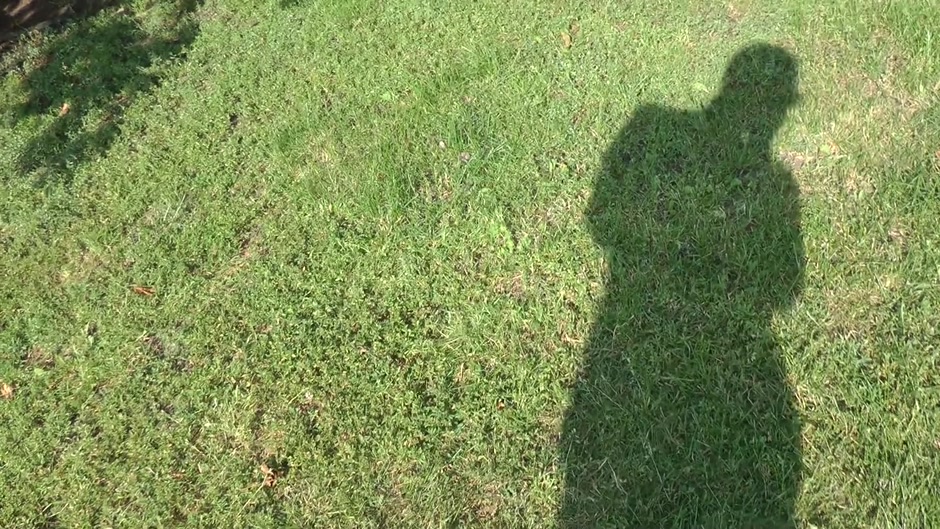 Kelly had hardcore sexual adventure in some park