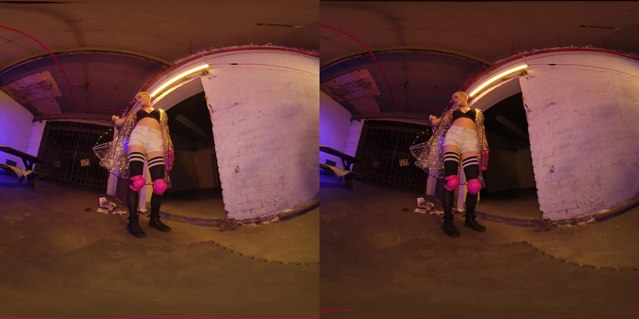 Back Alley Blowjobs & Butt Stuff