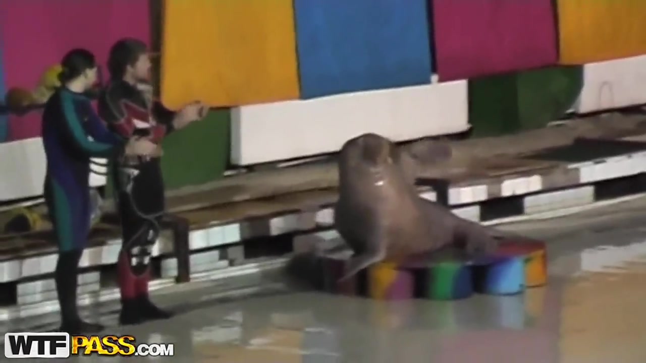 Cute and young brunette babe Natasha is getting seduced by her workmate at dolphinarium for naughty fuck.