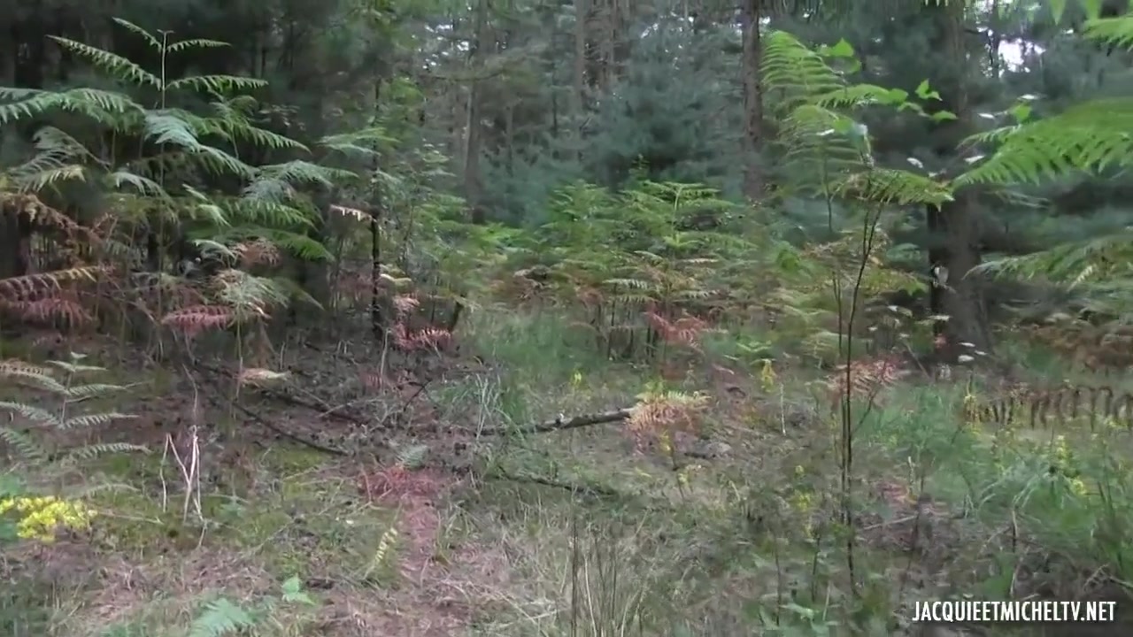 We Have An Orgy With A Libertine Couple In The Woods
