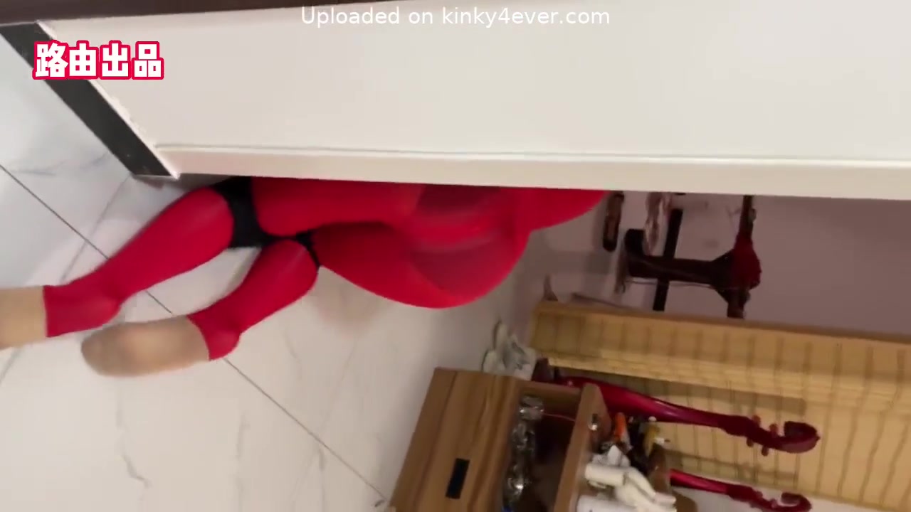 Training Asian Pet Play