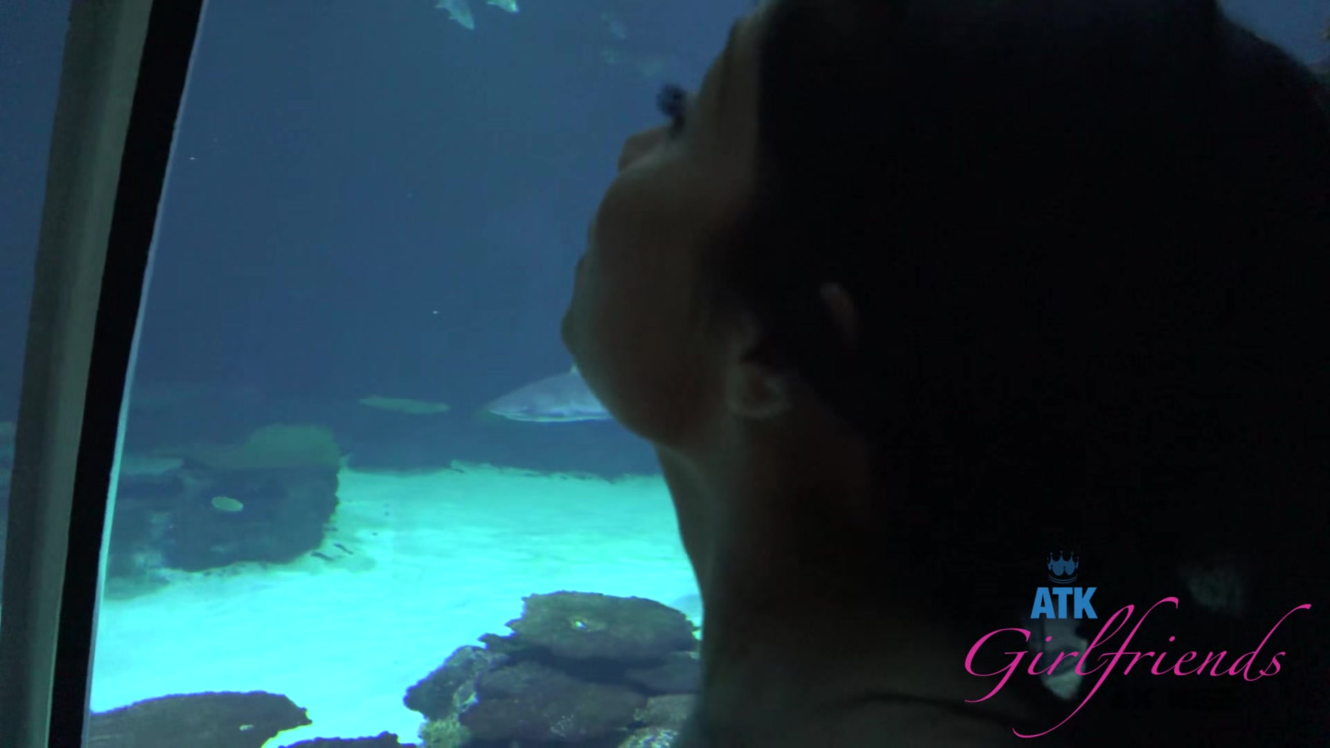 Virtual Vacation In Las Vegas With Rina Ellis Part 1