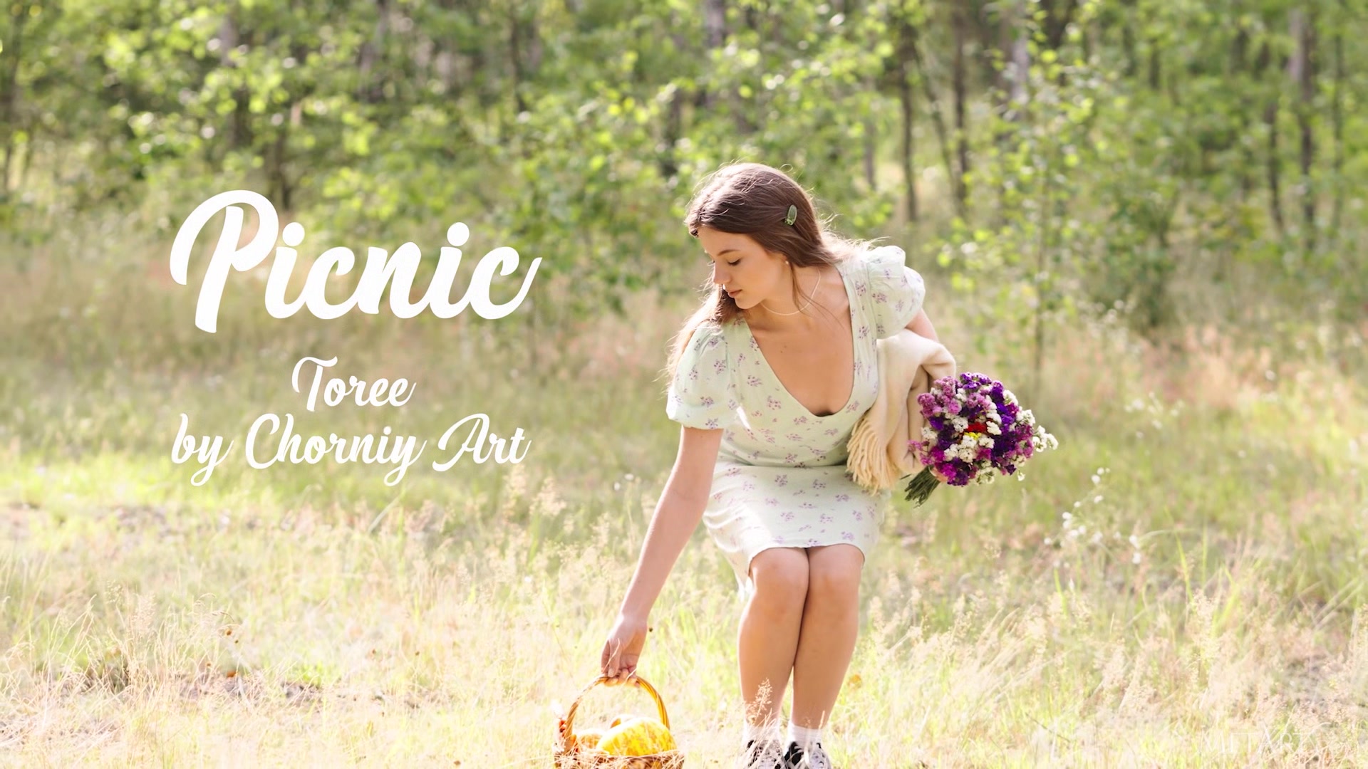 Picnic - Toree