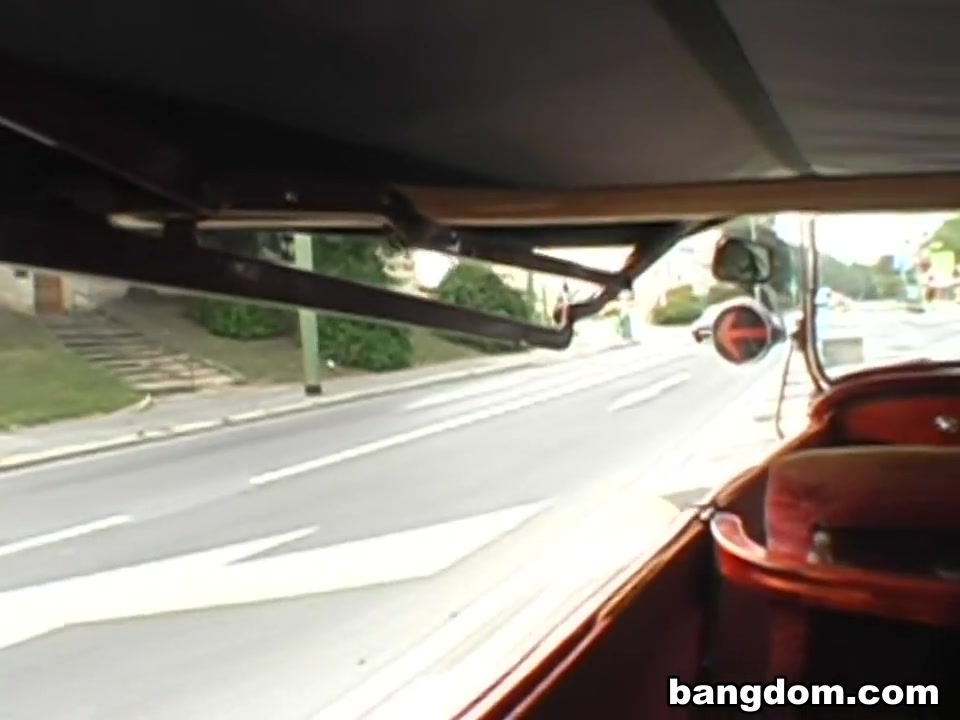Public Car Fucking Tourist Attraction