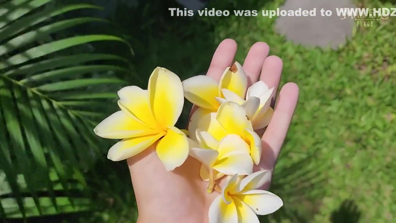 A Tropical Story With A Beautiful Romantic Blowjob And Doggystyle In The Bathroom