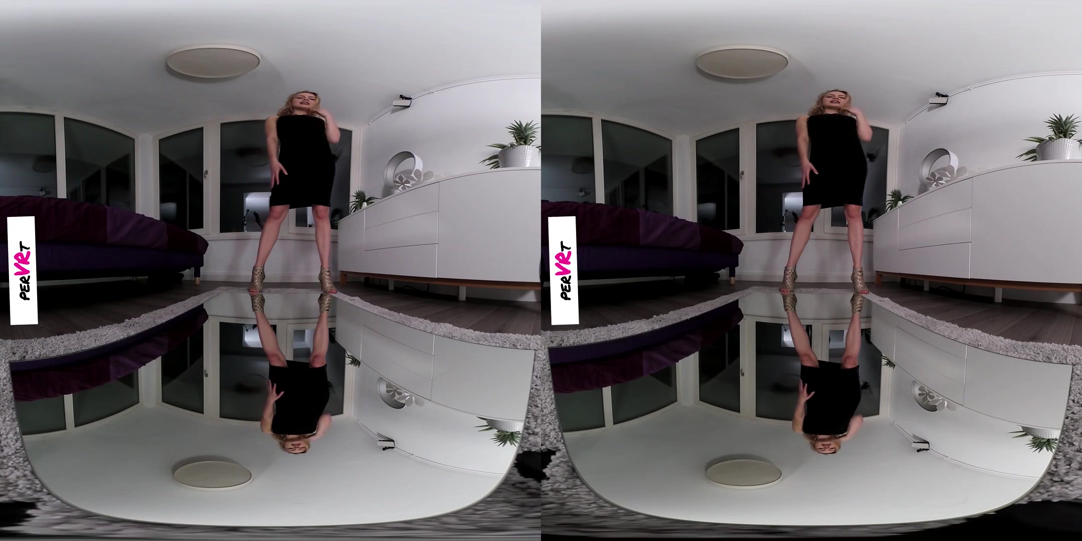 Collared - Prologue - Pervrt - Vr Porn Video - Sexlikereal