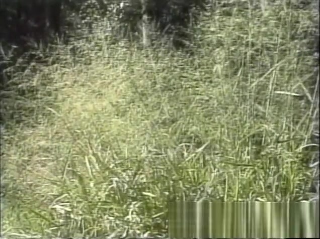 lusty ladyman Gives An outdoors oral stimulation Then pokes