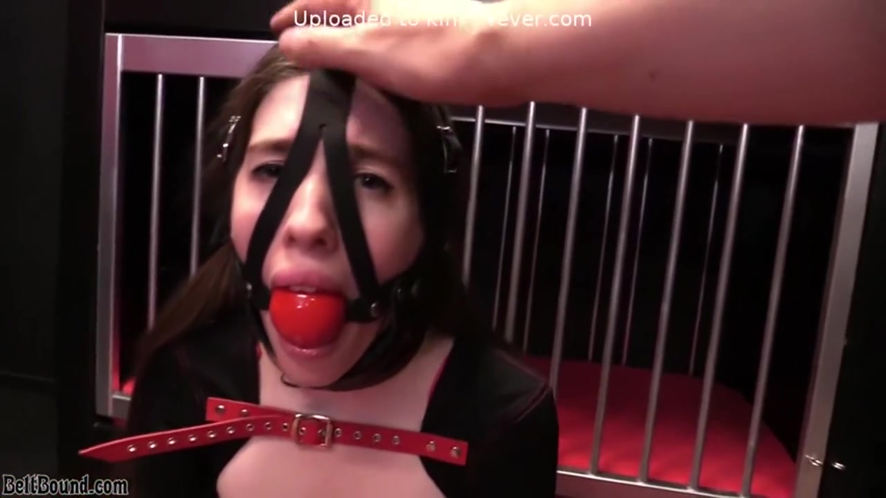 Cage Training! - Ivy Red