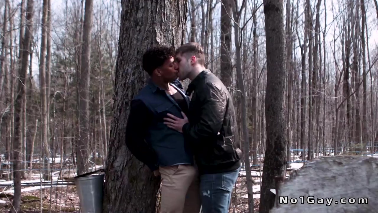 Syrup Makers And Co Workers Anal Fuck In The Woods