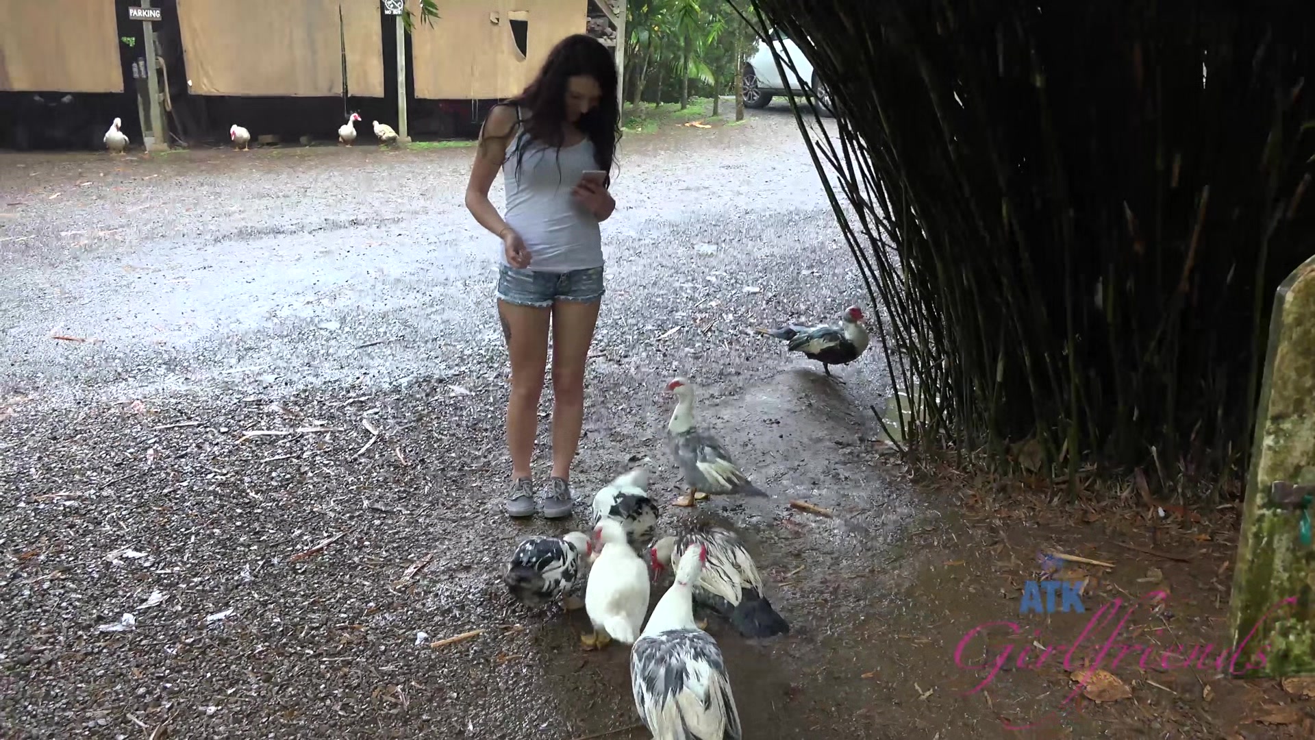 Virtual Vacation Hawaii With Megan Sage 6/9