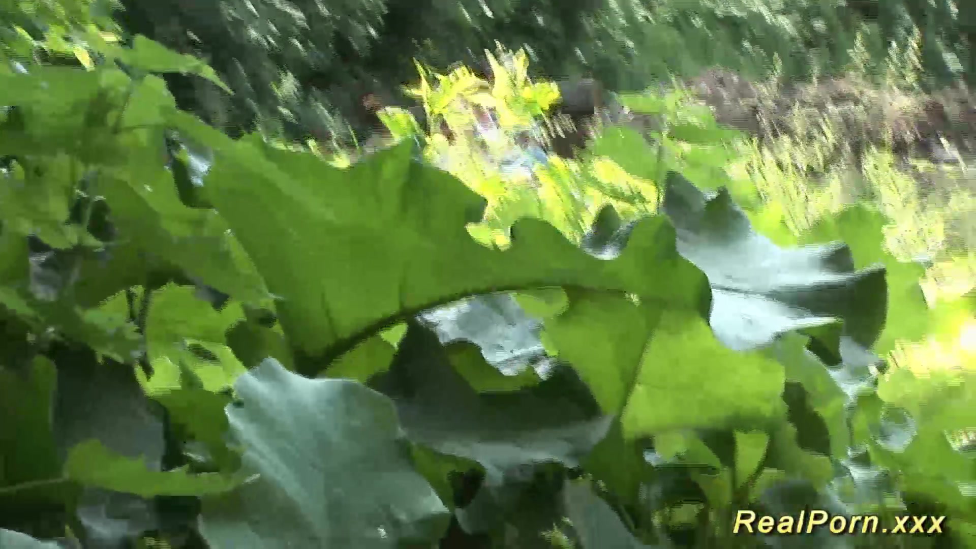 chubby babe gets wild fucked in the forest
