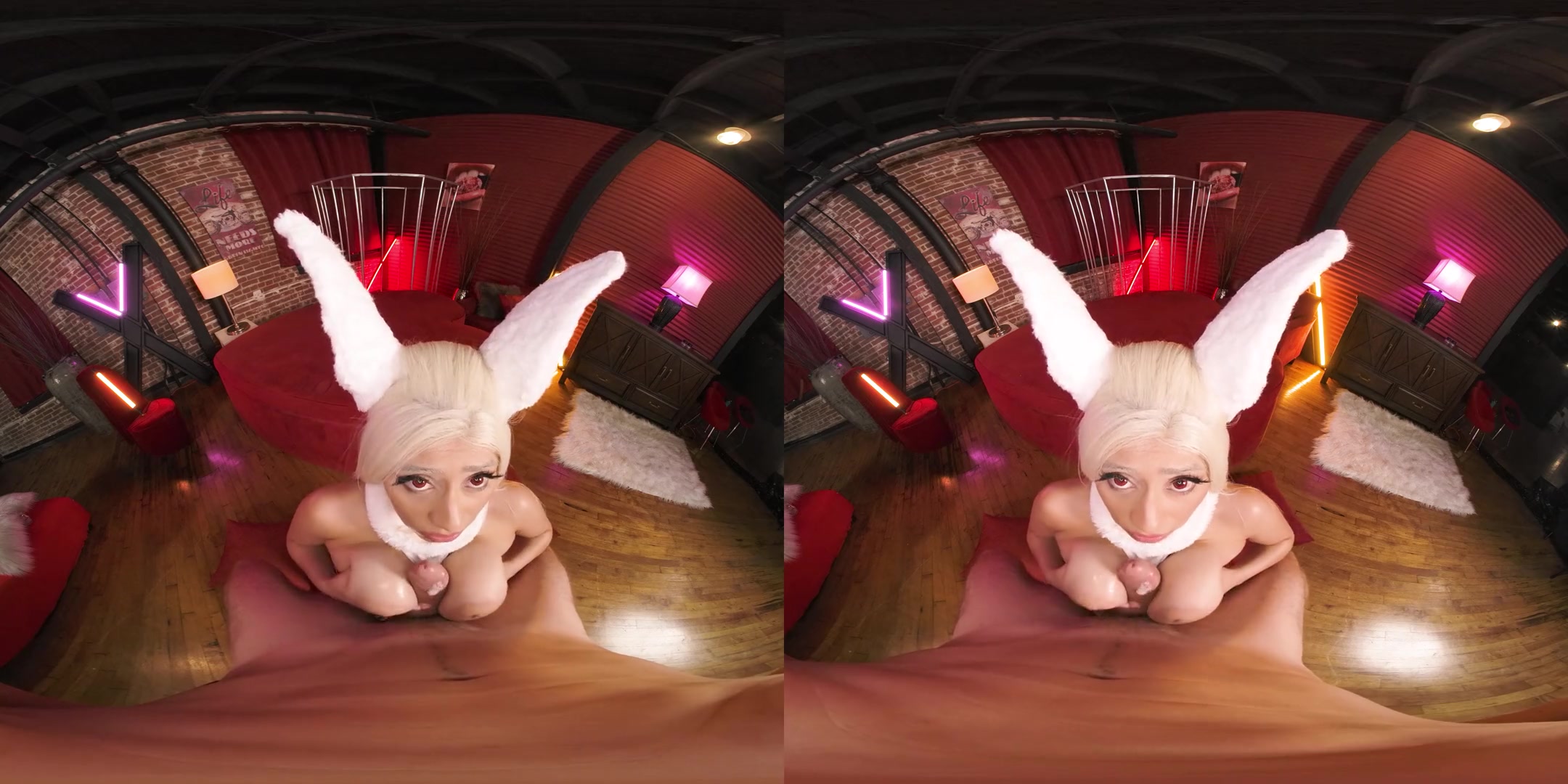 Rabbit Hero Miruko