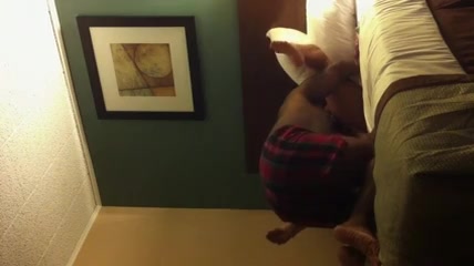 lki88eating her bawdy cleft then fucking her hard with bbd