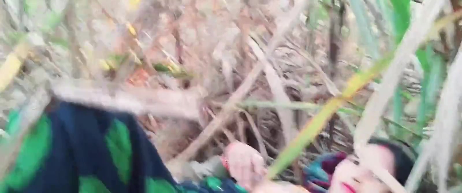 Sexy Bhabhi Gets Hot For Sex In Field With Sugar Cane