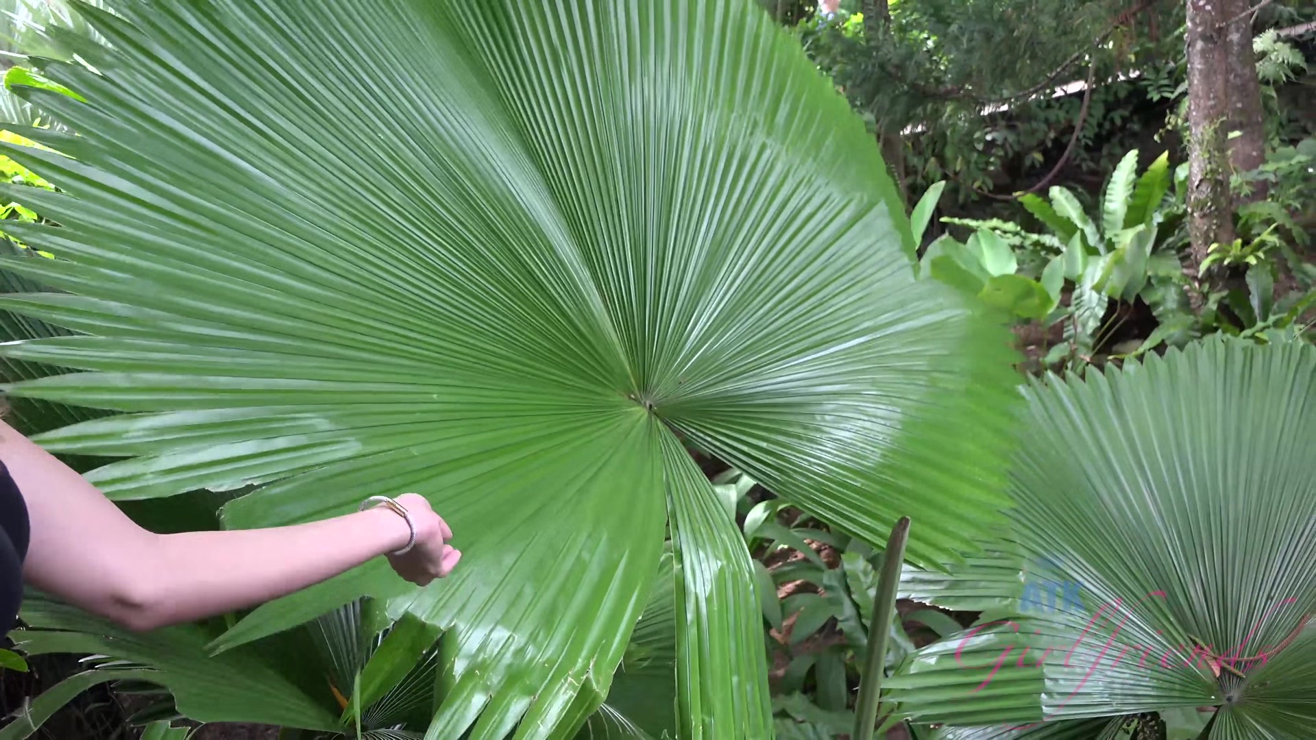 Virtual Vacation In Singapore With Victoria Rae Black Part 7