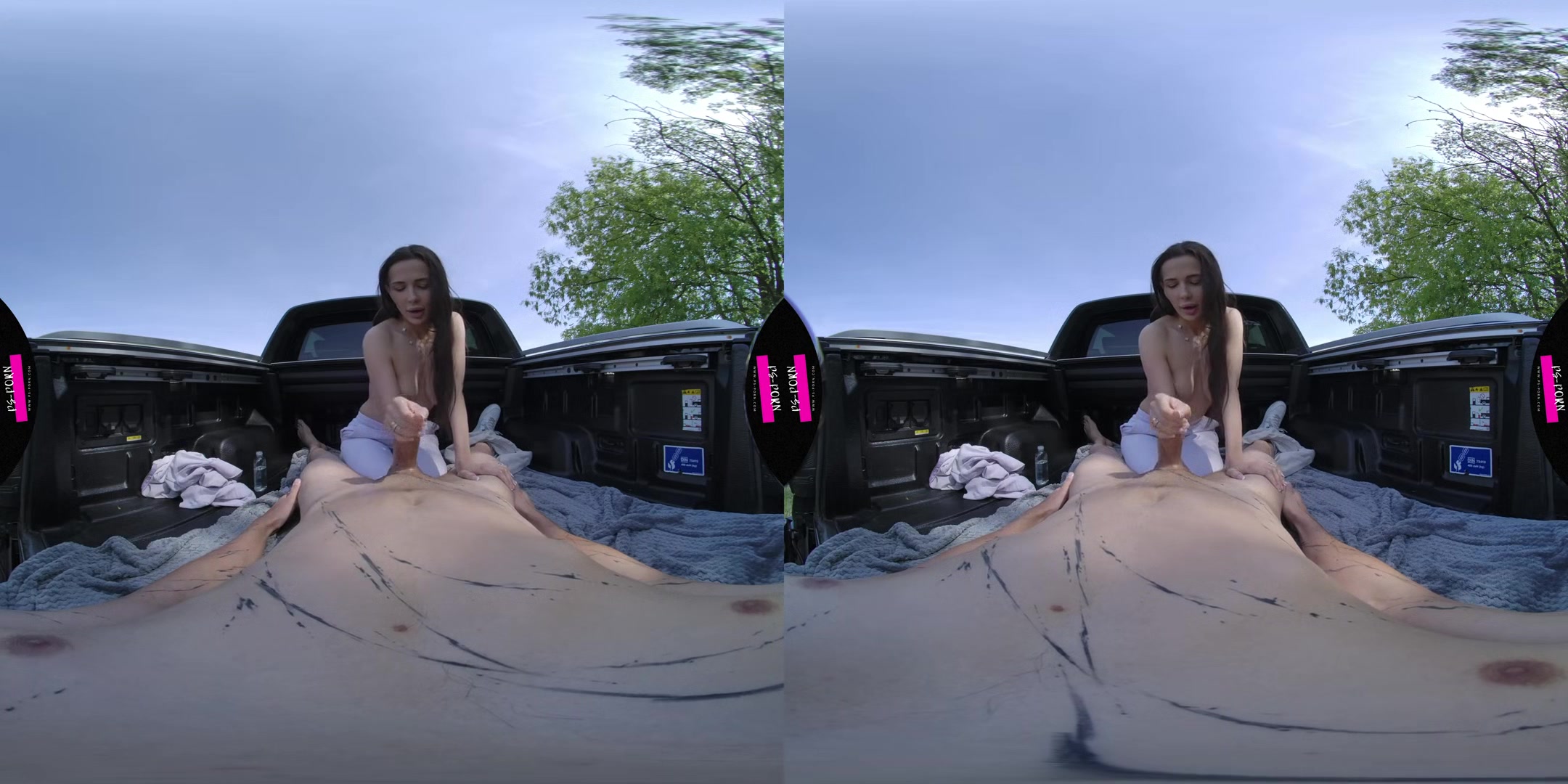Nicole Love In A Pickup From A Different Perspective