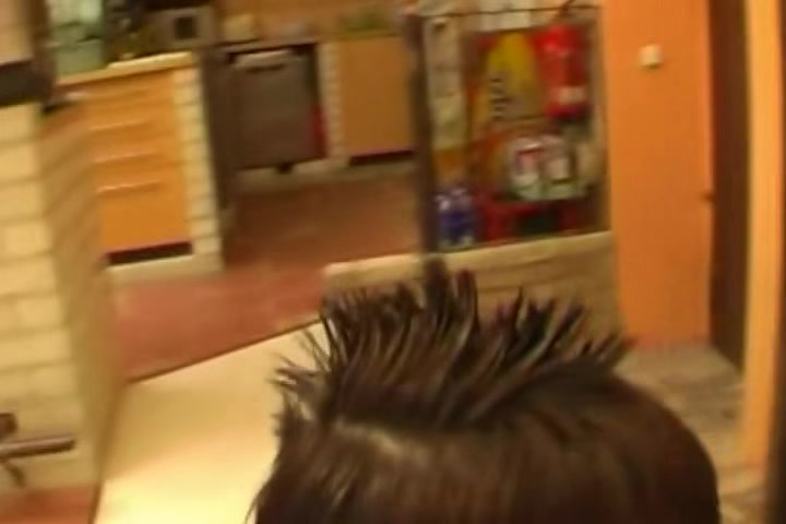 Shorthair Dutch Piano Teacher Fantasy Arouse Each Other