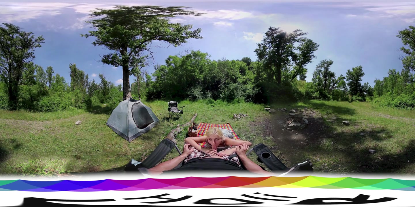 Covert Picnic