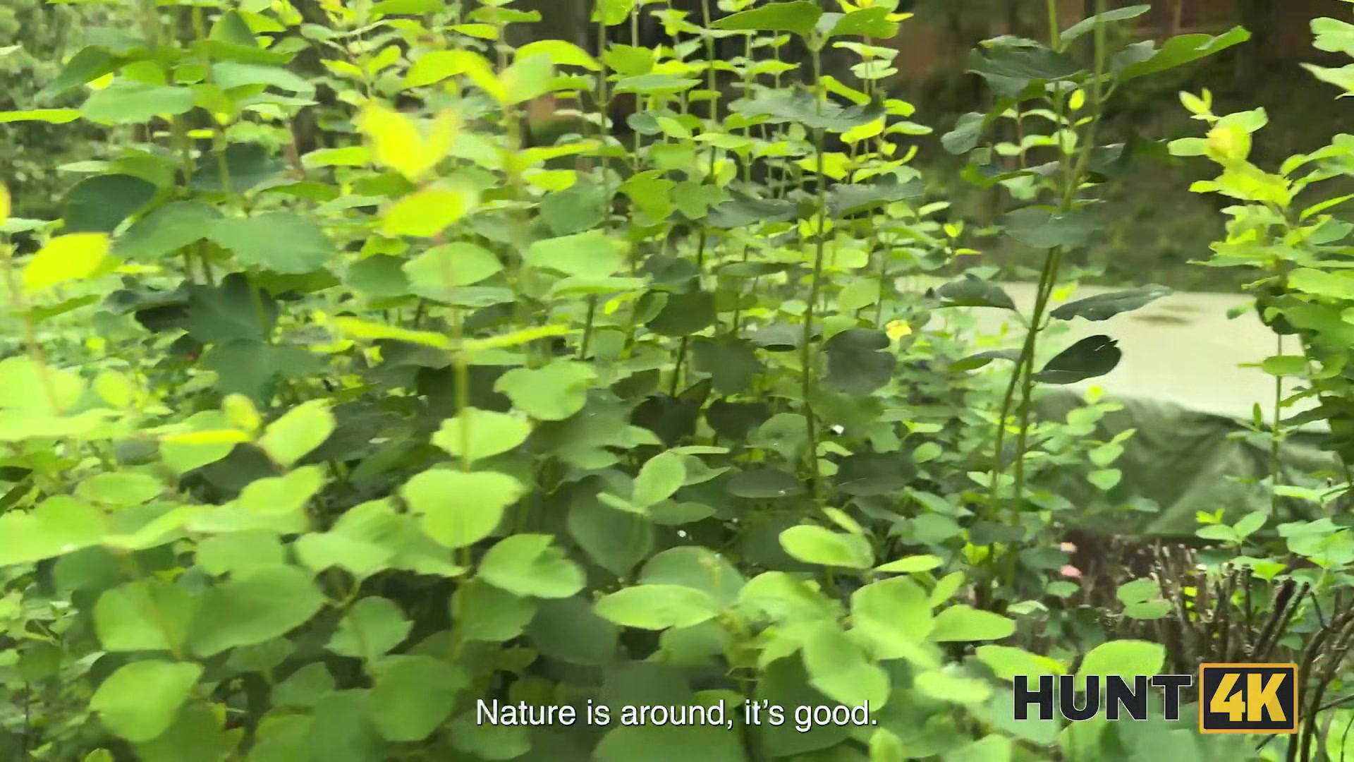 HUNT4K. Real Juicy Pussy Hunting