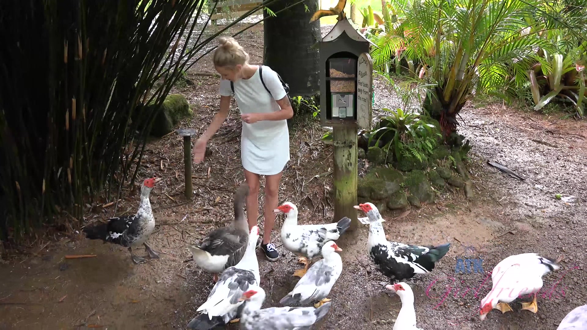 Virtual Vacation In Hawaii With Emma Hixx 9/16