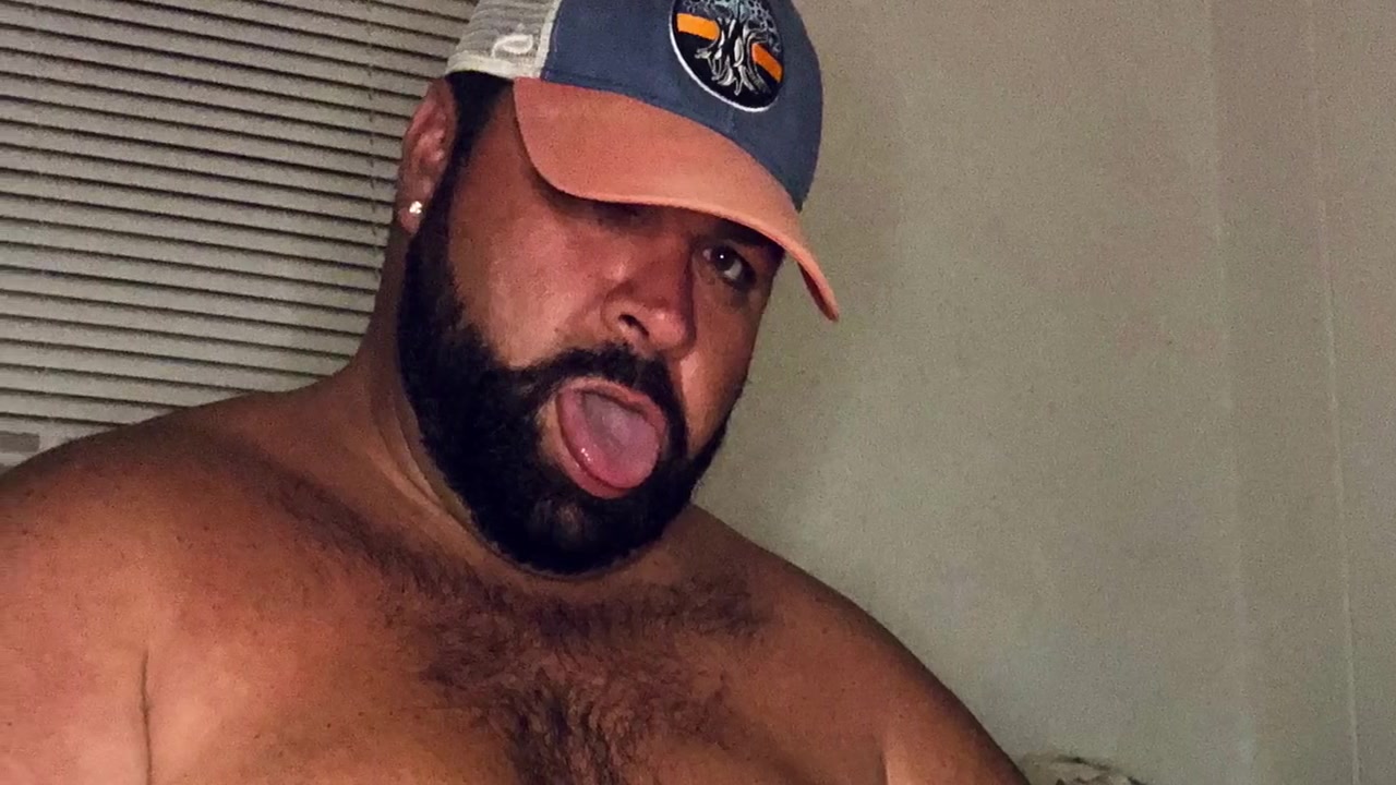 Brewsterbear Pic Compilation