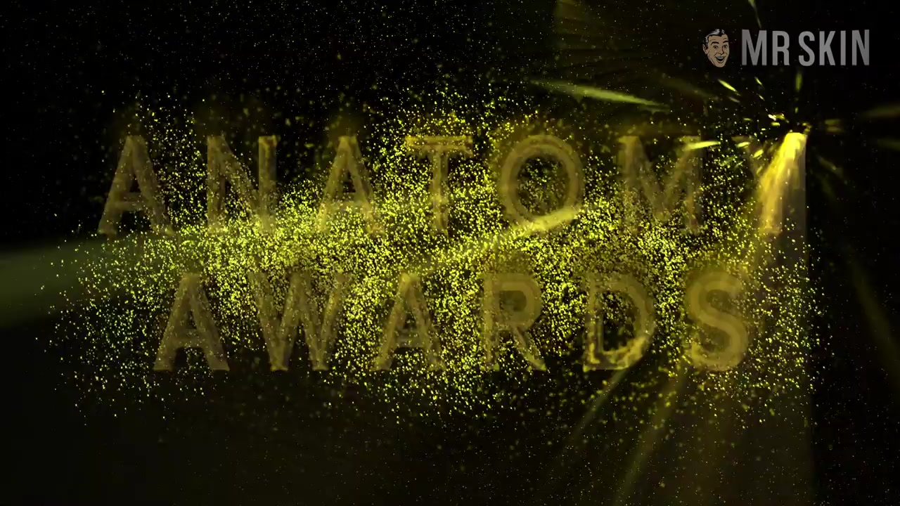 Mr. Skin's 21st Anatomy Awards - Mr.Skin