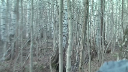 Titted dark brown fuck in the woods